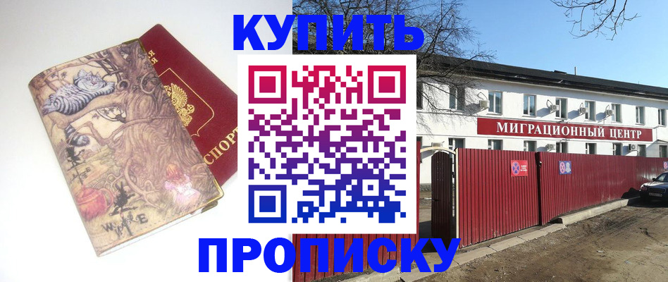 прописка от собственника в Светлогорске