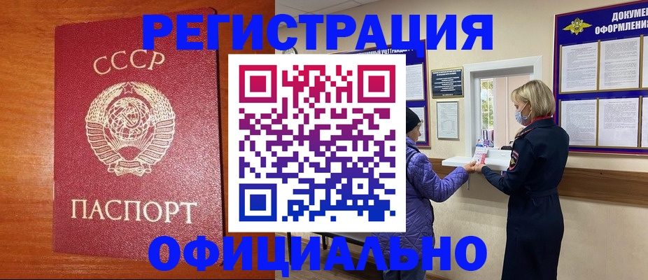 пропишу в квартире в Светлогорске